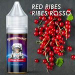 RIBES ROSSO - Aroma Concentrato 10ml - MonkeyNaut
