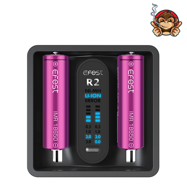 Caricabatterie iMate R2 - Efest
