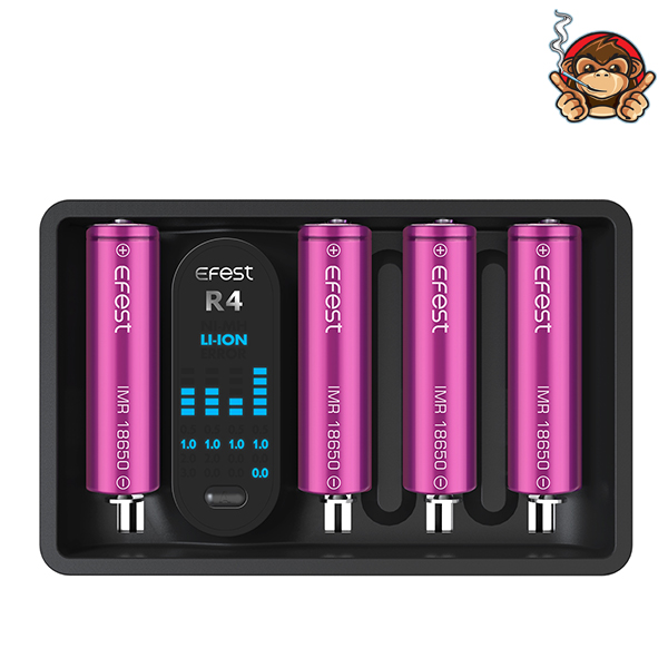 Caricabatterie iMate R4 - Efest
