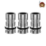 Testine Coil di Ricambio TPP-DM2 0,20 ohm (3 pezzi) - Voopoo