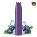 Blueberry Ice - Pod Mod Usa e Getta - Geek Bar
