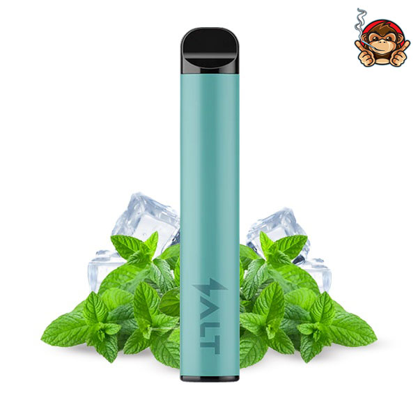 Cool Mint - Pod Mod Usa e Getta - Salt Switch