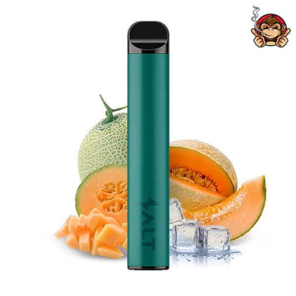 Melon Ice - Pod Mod Usa e Getta - Salt Switch