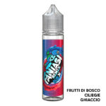 BLUEBERRY X HONEYDEW ICE - Liquido Scomposto 20ml - Fantasi Vape