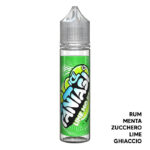 PEACH ICE - Liquido Scomposto 20ml - Fantasi Vape