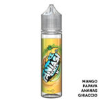 BLACKCURRANT X LEMON ICE - Liquido Scomposto 20ml - Fantasi Vape