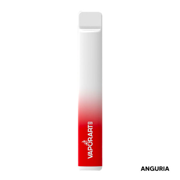 SUMMER PARTY - Pod Mod Usa e Getta - Vaporart