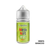 MEGA MINT - Aroma Mini Shot 10+10 - Cyber Flavour
