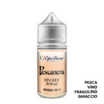 PESCANERA - Aroma Mini Shot 10+10 - Cyber Flavour